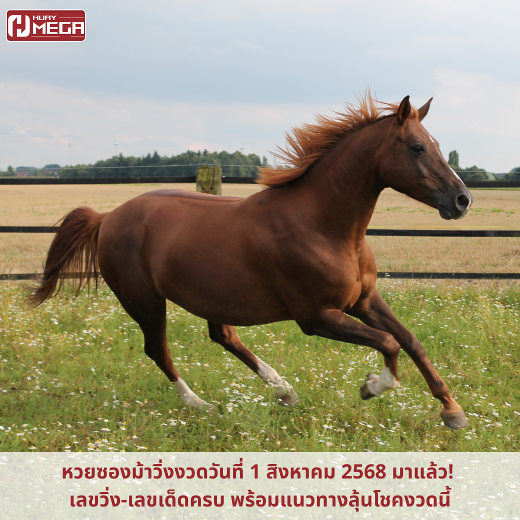 หวยซองม้าวิ่งงวดวันที่ 1 สิงหาคม 2568 มาแล้ว! เลขวิ่ง-เลขเด็ดครบ พร้อมแนวทางลุ้นโชคงวดนี้