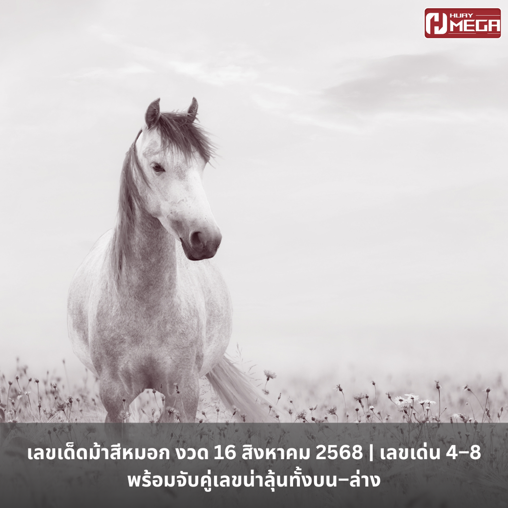 เลขเด็ดม้าสีหมอก งวด 16 สิงหาคม 2568 | เลขเด่น 4–8 พร้อมจับคู่เลขน่าลุ้นทั้งบน–ล่าง